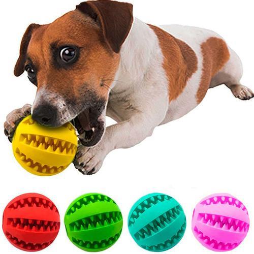 Brinquedos Apropriados para seu Cãozinho